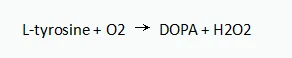 info-292-58