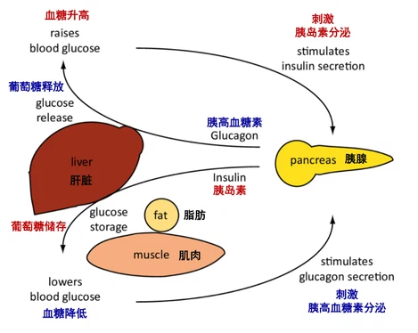 info-471-375 info-471-375