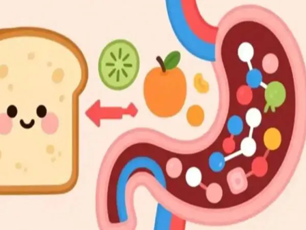 SLU-PP-332 Variability | Shaanxi BLOOM Tech Co., Ltd SLU-PP-332 Variability | Shaanxi BLOOM Tech Co., Ltd
