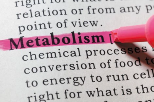 SLU-PP-332 Cost | Shaanxi BLOOM Tech Co., Ltd SLU-PP-332 Cost | Shaanxi BLOOM Tech Co., Ltd