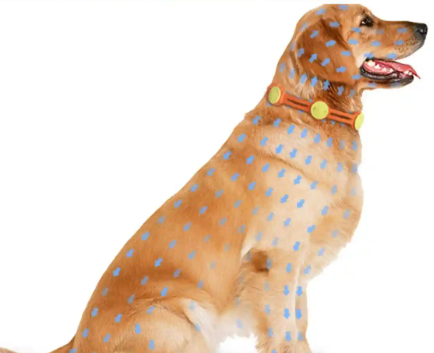 Fluralaner Online | Shaanxi BLOOM Tech Co., Ltd Fluralaner Online | Shaanxi BLOOM Tech Co., Ltd