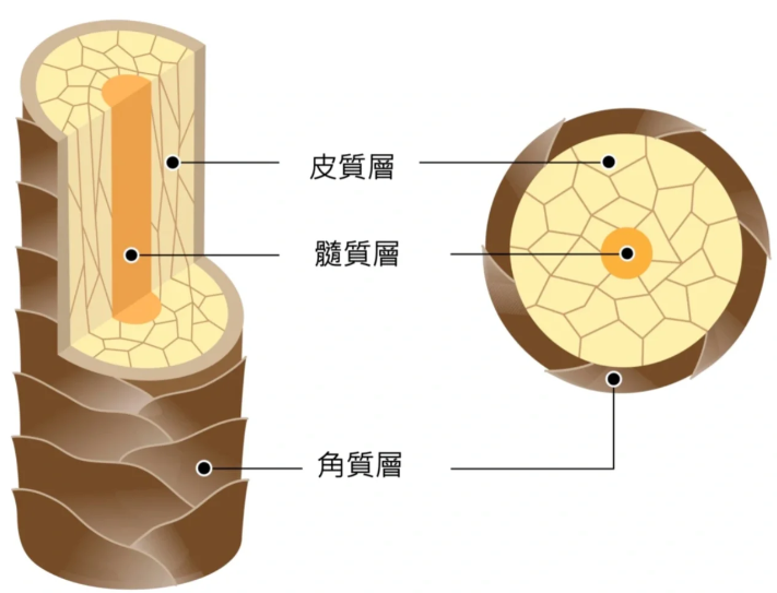 SLU-PP-332 Cost | Shaanxi BLOOM Tech Co., Ltd SLU-PP-332 Cost | Shaanxi BLOOM Tech Co., Ltd