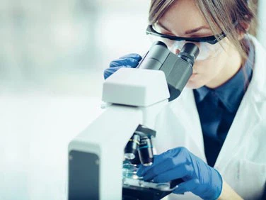 Adipotide Peptide | Shaanxi BLOOM Tech Co., Ltd Adipotide Peptide | Shaanxi BLOOM Tech Co., Ltd