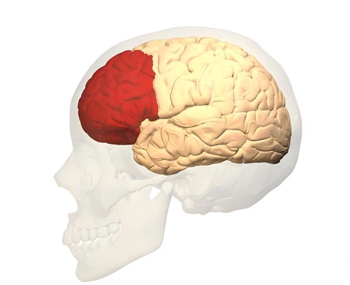 Flibanserin Tablet 100mg use | Shaanxi BLOOM Tech Co., Ltd Flibanserin Tablet 100mg use | Shaanxi BLOOM Tech Co., Ltd