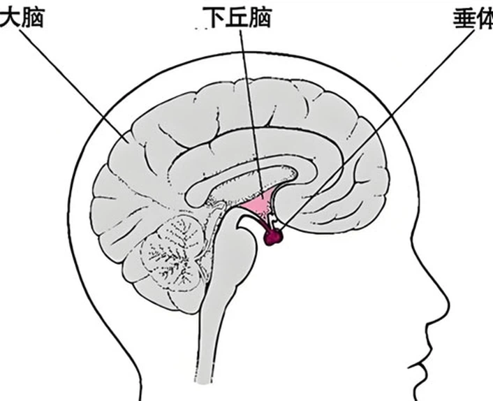Flibanserin Tablet 100mg use | Shaanxi BLOOM Tech Co., Ltd Flibanserin Tablet 100mg use | Shaanxi BLOOM Tech Co., Ltd
