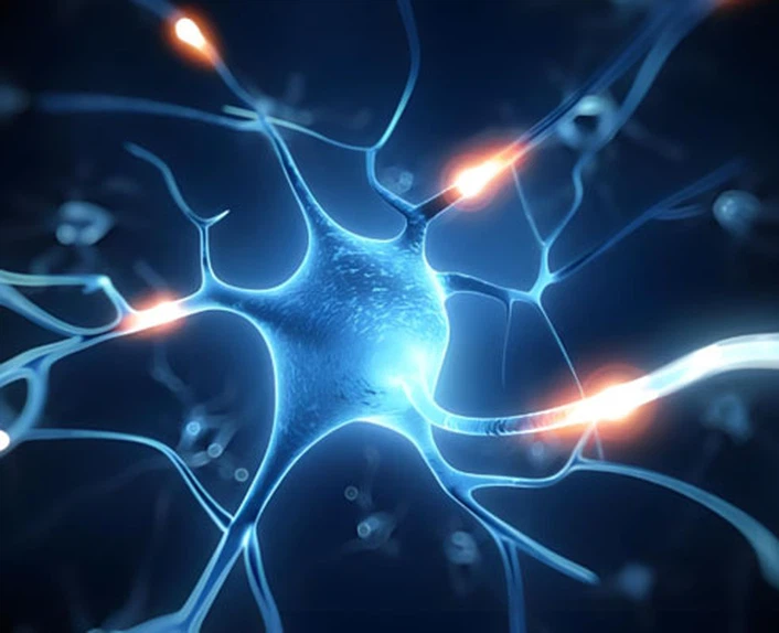 Flibanserin Tablet 100mg use | Shaanxi BLOOM Tech Co., Ltd Flibanserin Tablet 100mg use | Shaanxi BLOOM Tech Co., Ltd