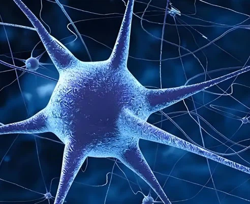 Flibanserin Tablet 100mg use | Shaanxi BLOOM Tech Co., Ltd Flibanserin Tablet 100mg use | Shaanxi BLOOM Tech Co., Ltd