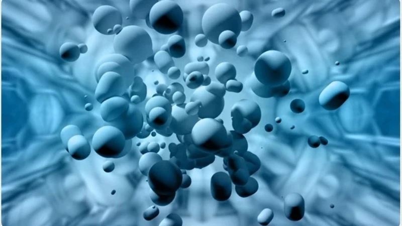 PT 141 Capsules | Shaanxi BLOOM Tech Co., Ltd PT 141 Capsules | Shaanxi BLOOM Tech Co., Ltd