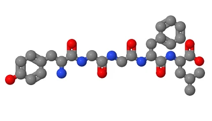 Leucine Enkephalin structure CAS 58822-25-6 | Shaanxi BLOOM Tech Co., Ltd Leucine Enkephalin structure CAS 58822-25-6 | Shaanxi BLOOM Tech Co., Ltd