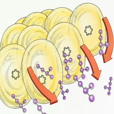 Carbetocin Cost | Shaanxi BLOOM Tech Co., Ltd Carbetocin Cost | Shaanxi BLOOM Tech Co., Ltd