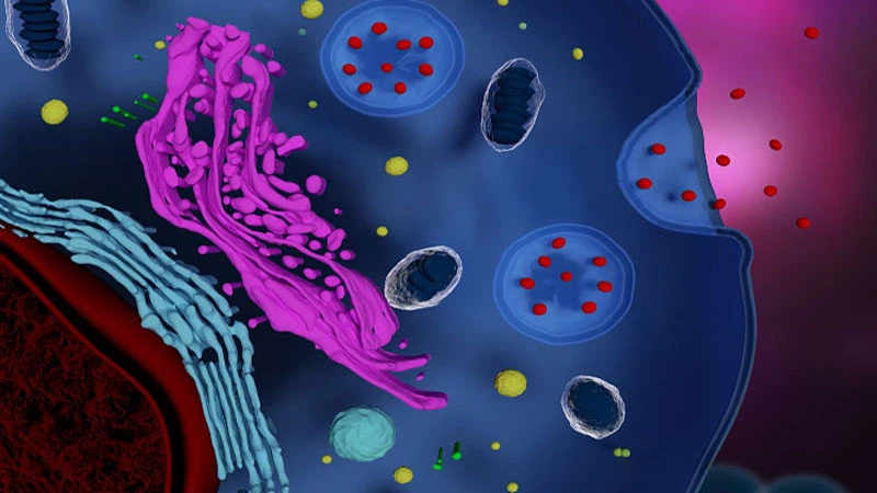 Carbetocin Uniform | Shaanxi BLOOM Tech Co., Ltd Carbetocin Uniform | Shaanxi BLOOM Tech Co., Ltd