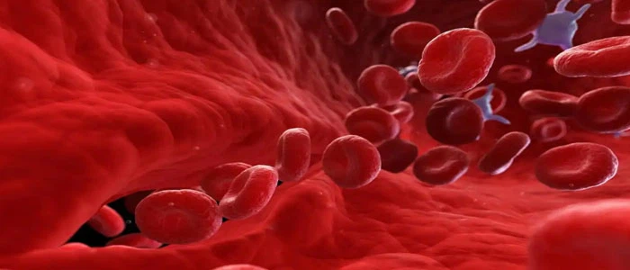 Carbetocin Metabolic | Shaanxi BLOOM Tech Co., Ltd Carbetocin Metabolic | Shaanxi BLOOM Tech Co., Ltd